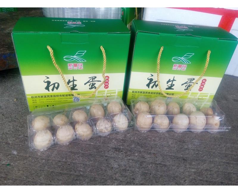 新富民初生蛋-源于天然 滋補(bǔ)有道。