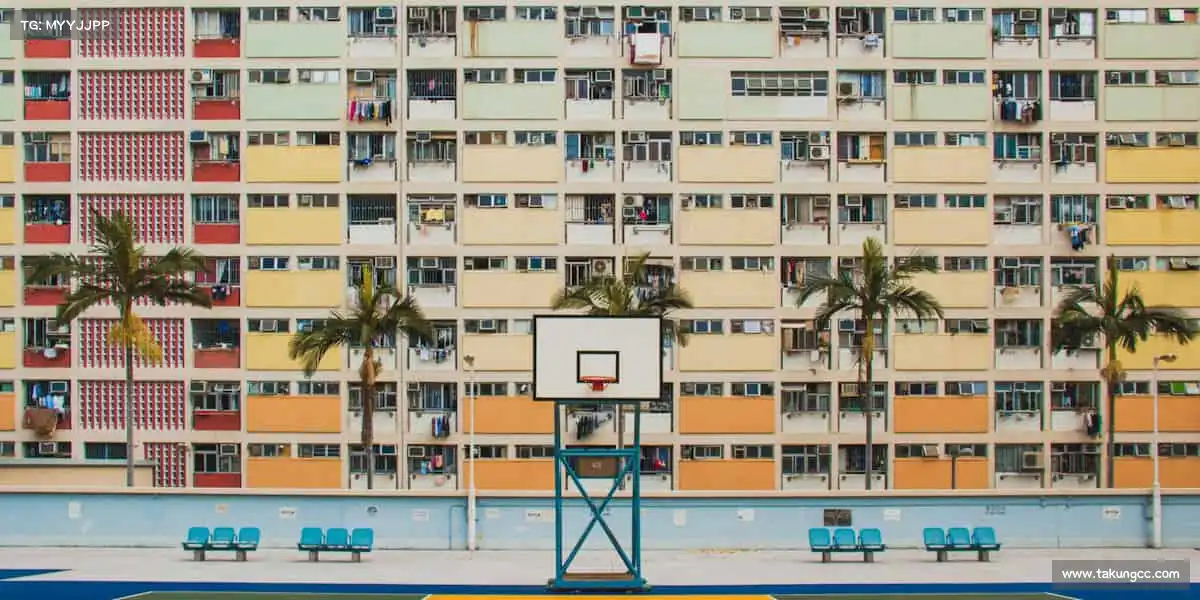 我们的合规准则